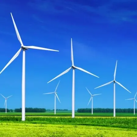 In Near Baltic Coast Zizow