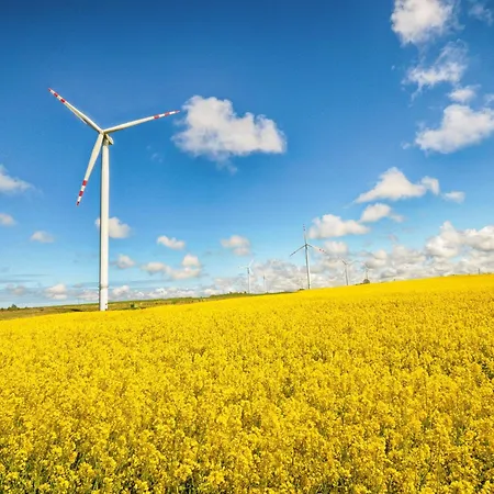 In Near Baltic Coast * Zizow