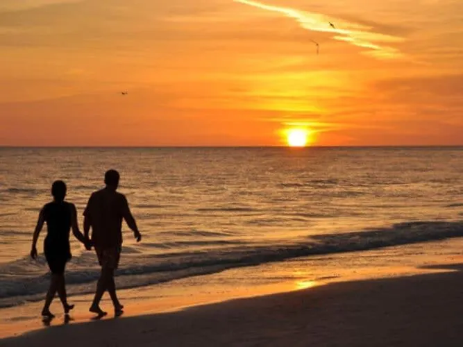 In Near Baltic Coast Zizow